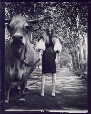 Natasha Poly pic #282841