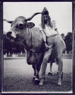 Natasha Poly pic #282876