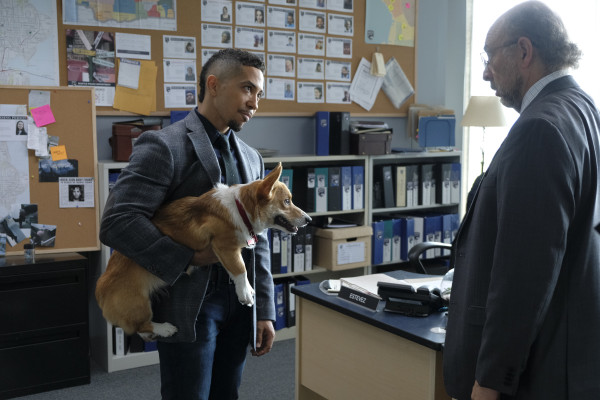 photo 10 in Neil Brown Jr         gallery [id1271729] 2021-09-30 00:00:00