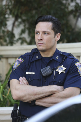 photo 13 in Nick Wechsler gallery [id1215974] 2020-05-23 00:00:00