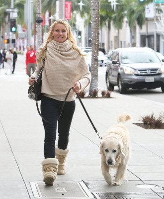 photo 20 in Nicolette Sheridan gallery [id655496] 2013-12-25 00:00:00