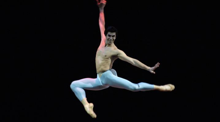 Nikolai Tsiskaridze pic #1185753