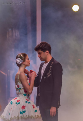 Nikolai Tsiskaridze pic #842518