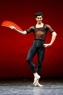 Nikolai Tsiskaridze pic #790493