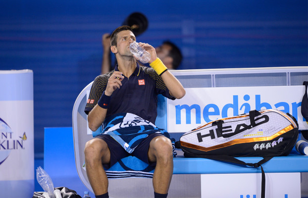 photo 13 in Djokovic gallery [id570630] 2013-01-26 00:00:00