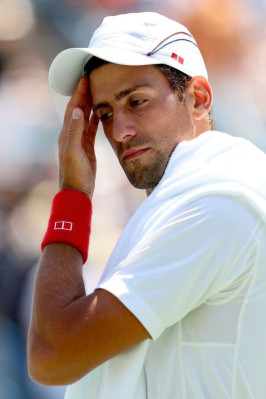 photo 12 in Djokovic gallery [id526883] 2012-08-28 00:00:00