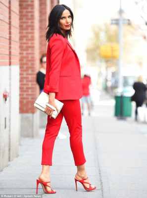 Padma Lakshmi pic #1029109