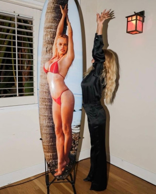 Pamela Anderson pic #1333582
