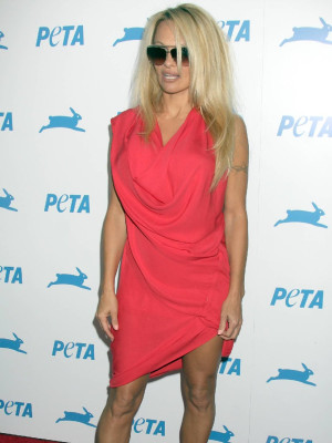 Pamela Anderson pic #291886