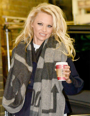 Pamela Anderson pic #729887