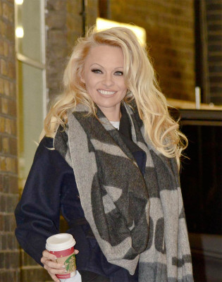Pamela Anderson pic #729889