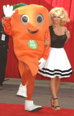 Pamela Anderson pic #734884