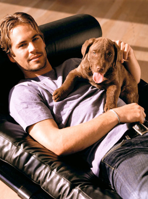 photo 21 in Paul Walker gallery [id61913] -0001-11-30 00:00:00