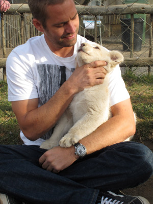 Paul Walker pic #426187