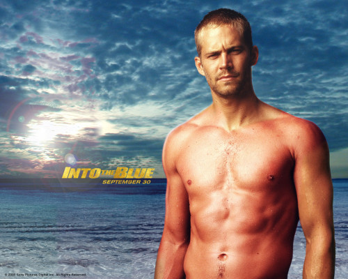 Paul Walker pic #468380