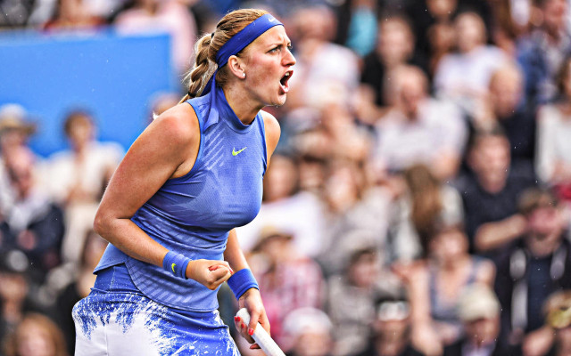 photo 3 in Kvitova gallery [id1198189] 2020-01-10 00:00:00
