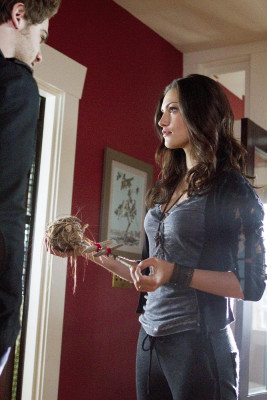 Phoebe Tonkin pic #489583