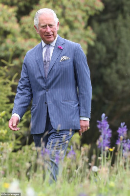 Prince Charles  pic #1141523
