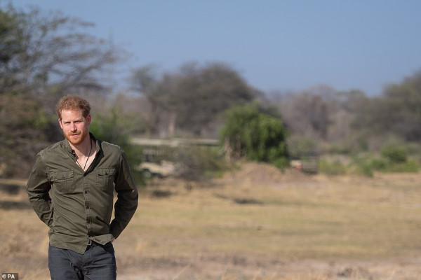 Prince Harry of Wales pic #1179521