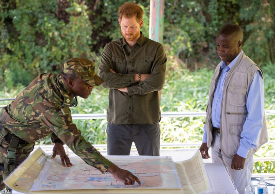 Prince Harry of Wales pic #1179505