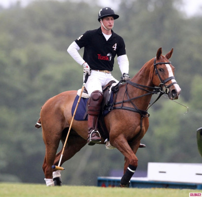 Prince Harry of Wales pic #554246