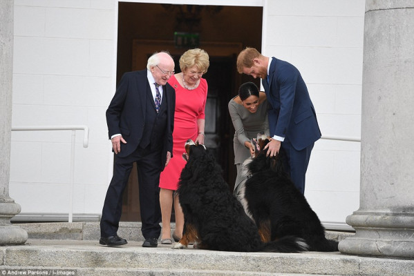 Prince Harry of Wales pic #1050585