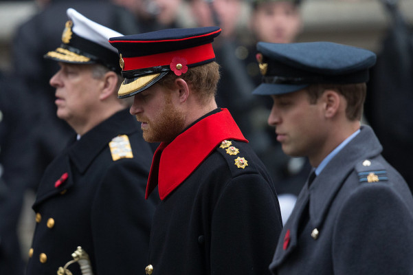 Prince Harry of Wales pic #811601