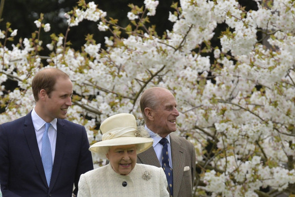 Prince William pic #688460