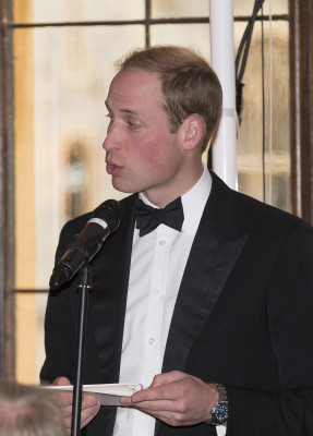Prince William pic #700174