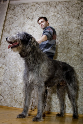 Petr Fyodorov pic #392255