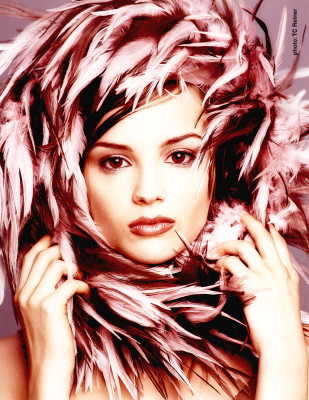 Rachael Leigh Cook pic #61732