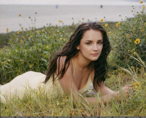 Rachael Leigh Cook pic #80443
