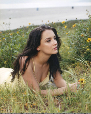 Rachael Leigh Cook pic #80444