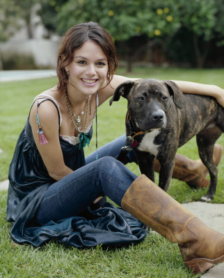 Rachel Bilson pic #292824
