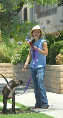 Rachel Bilson pic #158135