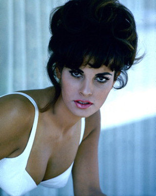 Raquel Welch pic #162001