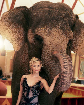 photo 14 in Reese Witherspoon gallery [id1122976] 2019-04-18 00:00:00