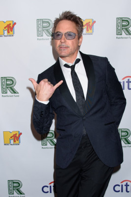 Robert Downey Jr. pic #1194238
