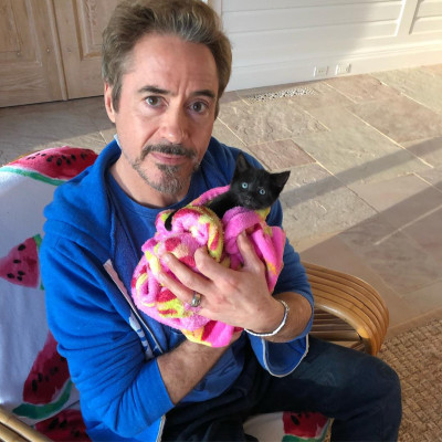 Robert Downey Jr. pic #991372