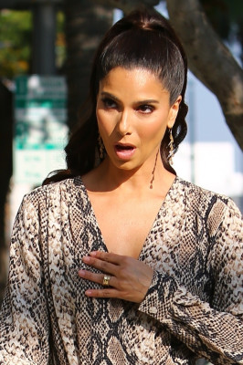 Roselyn Sanchez pic #1221113