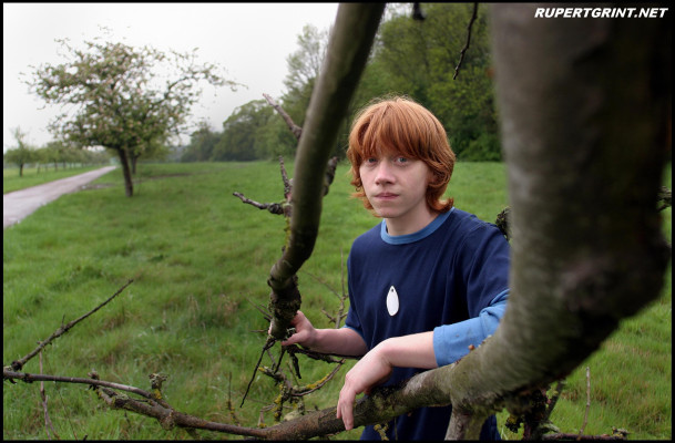 Rupert Grint pic #141052
