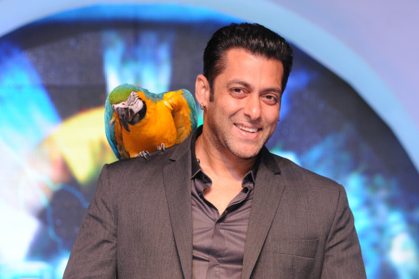photo 4 in Salman gallery [id534735] 2012-09-23 00:00:00