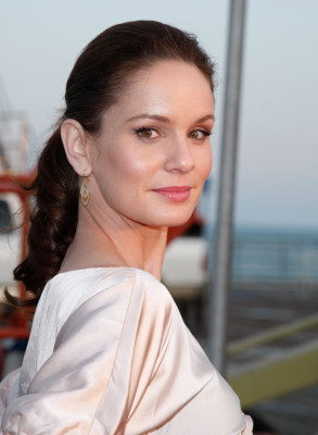Sarah Wayne Callies pic #335303