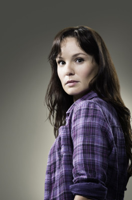 Sarah Wayne Callies pic #367854