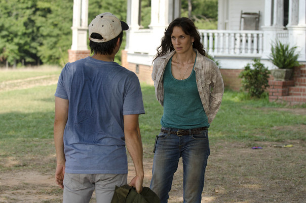 Sarah Wayne Callies pic #687397