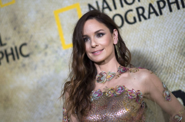 Sarah Wayne Callies pic #976199