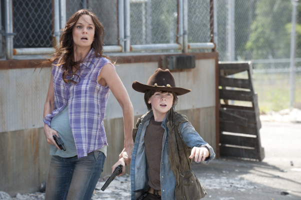 Sarah Wayne Callies pic #687396
