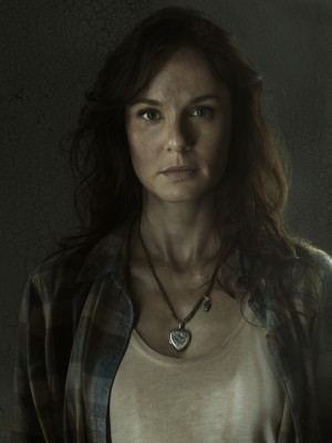 Sarah Wayne Callies pic #687394