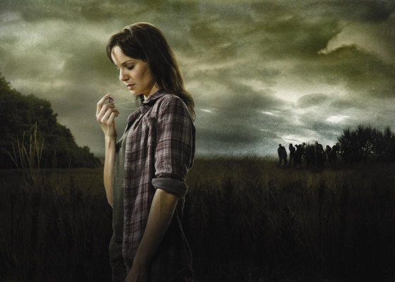 Sarah Wayne Callies pic #687398