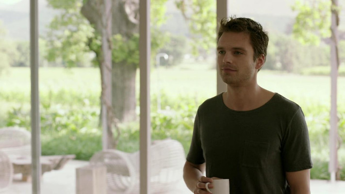photo 14 in Sebastian Stan gallery [id742244] 2014-11-21 00:00:00